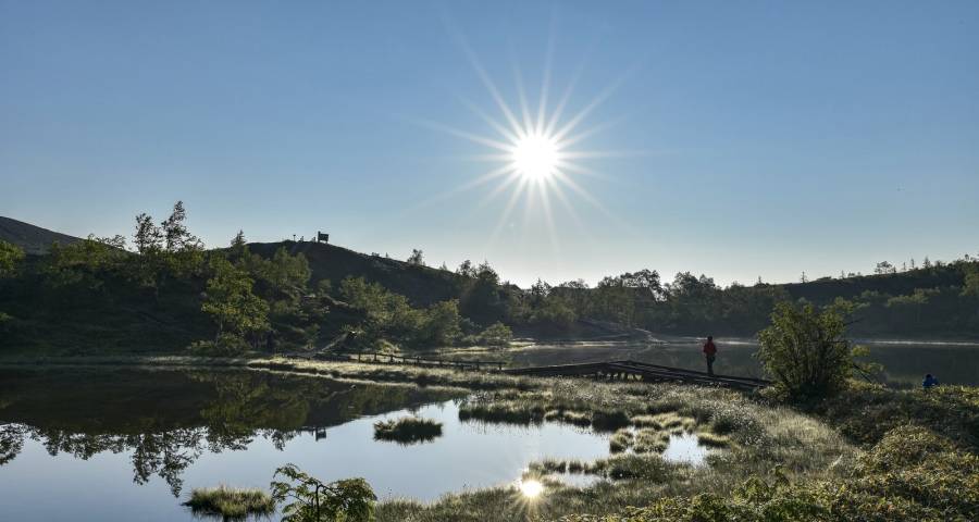 激活存量市场家电企业要三驾马车并驱-家电圈官网