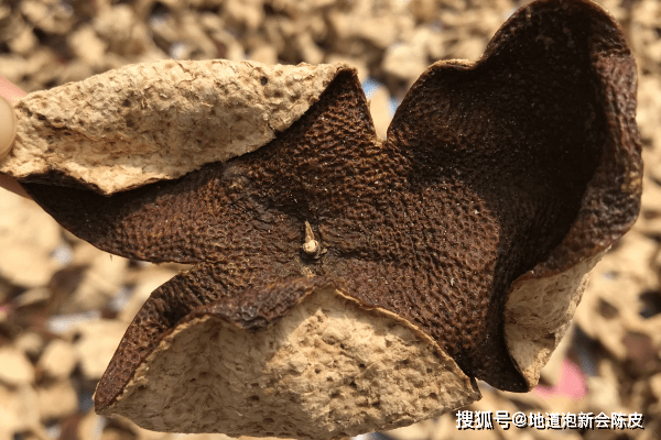 陈皮用什么袋子陈化 3a9d7d21d61c411e9af2a169f6ddce76.png