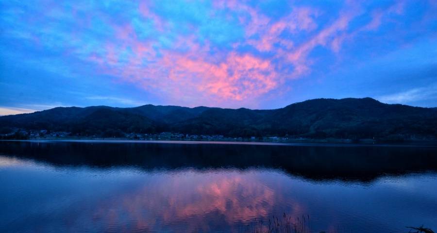 经营用户是今年家电业最大难点和唯一亮点-家电圈官网