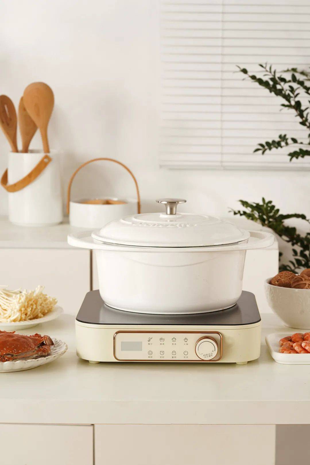 secite新思特多功能锅电陶炉的神奇组合带你玩转花样美食