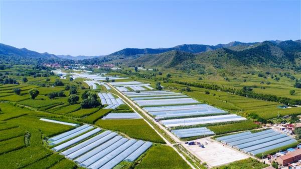 左权县以产业振兴开拓全方位推动高质量发展新局面