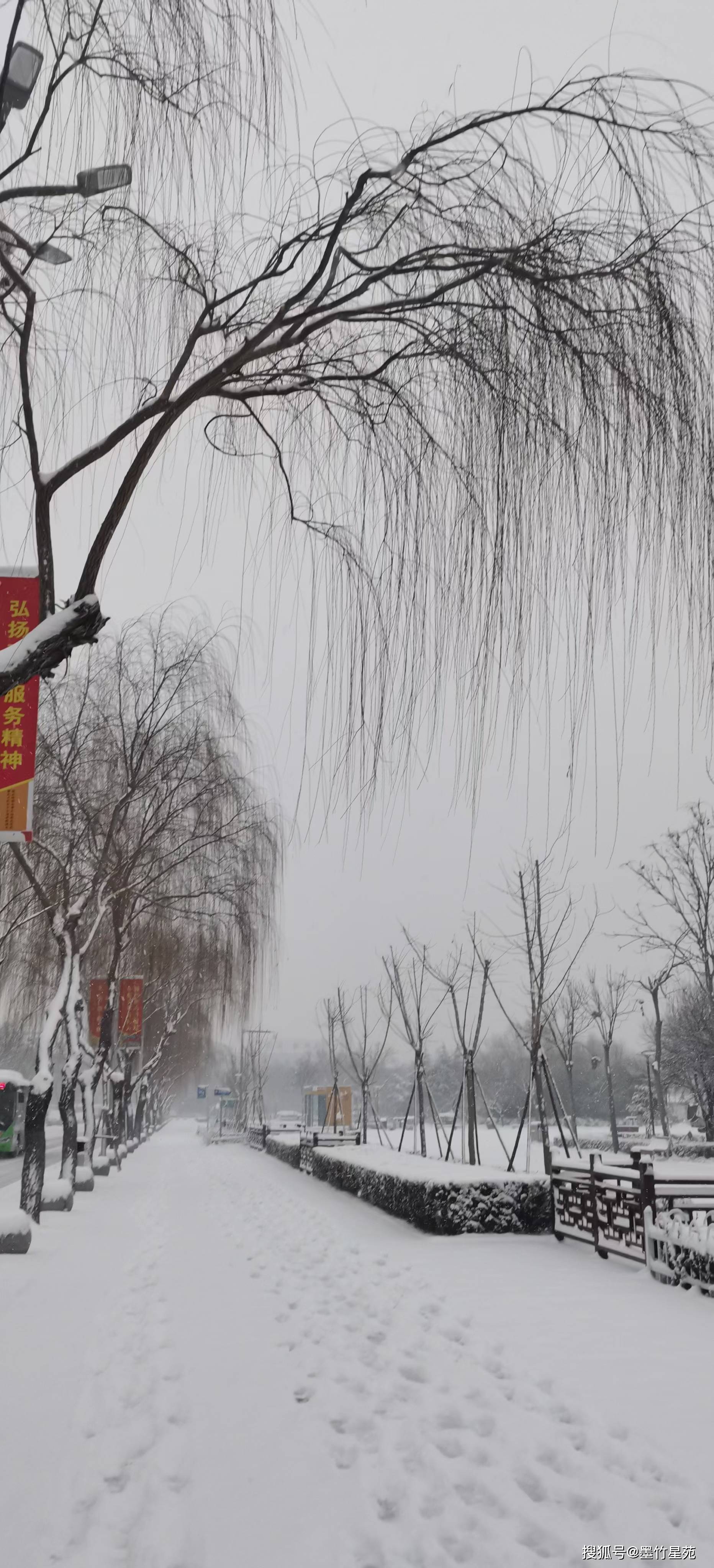 款款深情|【墨竹】多彩的雪