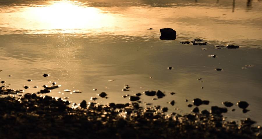 家电春节消费很动荡，苏宁拼多多格力海信格兰仕康佳添​可追梦-家电圈官网