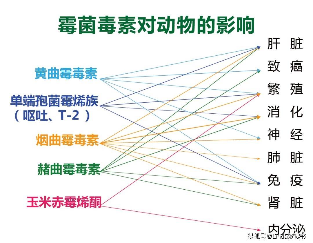 b2,g1,g2),玉米赤霉烯酮1种,单端孢霉烯族毒素b族5种(呕吐毒素,3-乙酰
