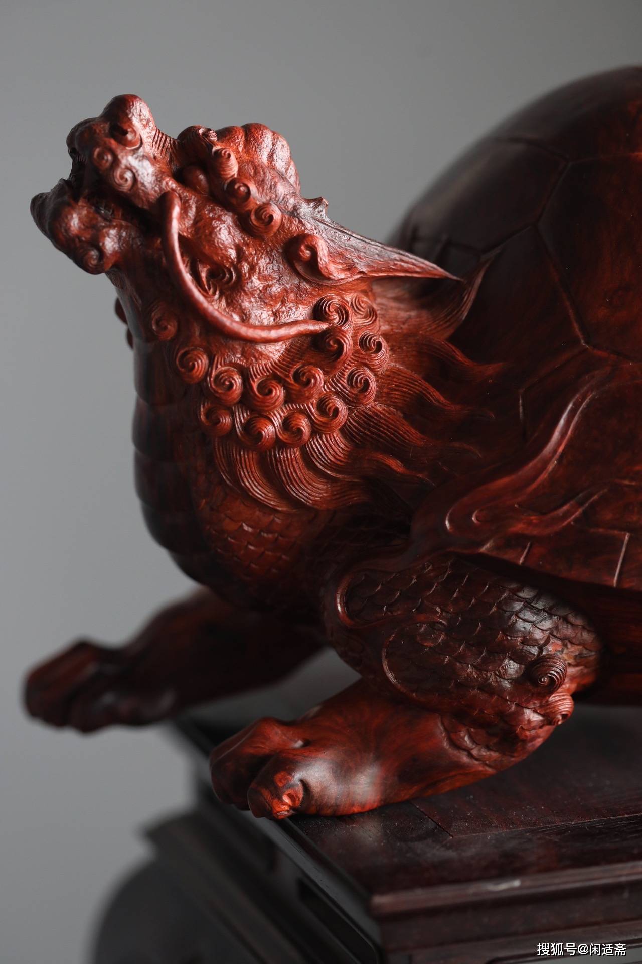 龙之九子镇宅招财紫檀瘿木大龙龟