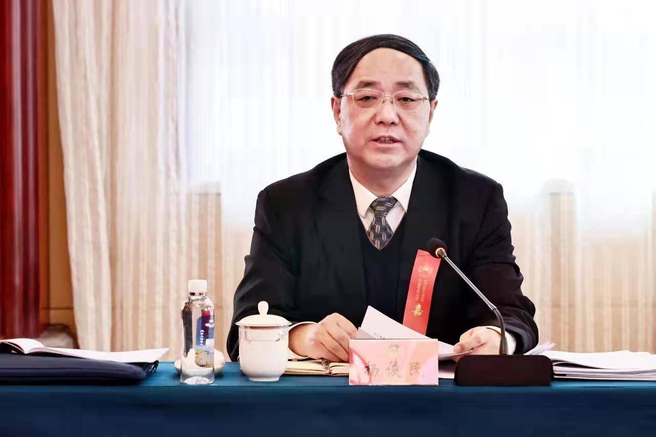 聚焦两会|杨俊民参加区政协工商联界别分组讨论_发展_一体化_经济