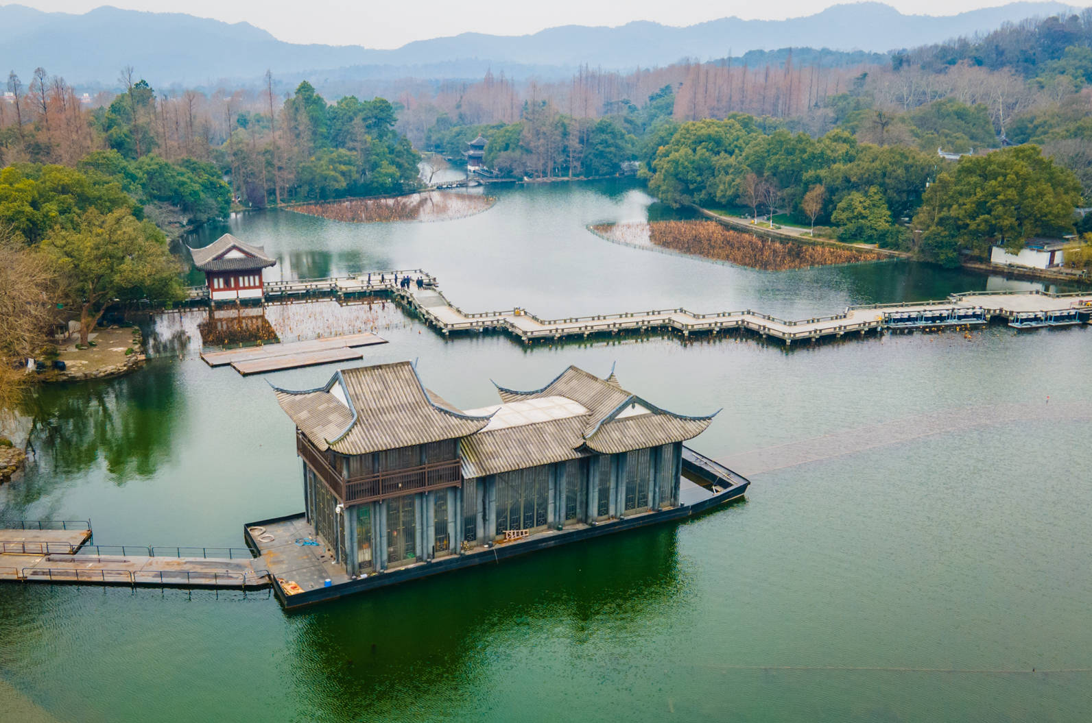 西湖|为什么西湖每年都会保留残荷过年，它们在等什么