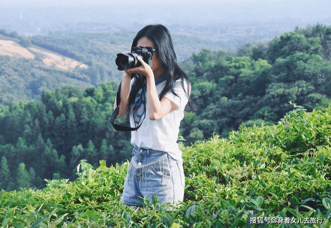 网友|河南一座城市，特产美女和绿茶，风景好，美食多