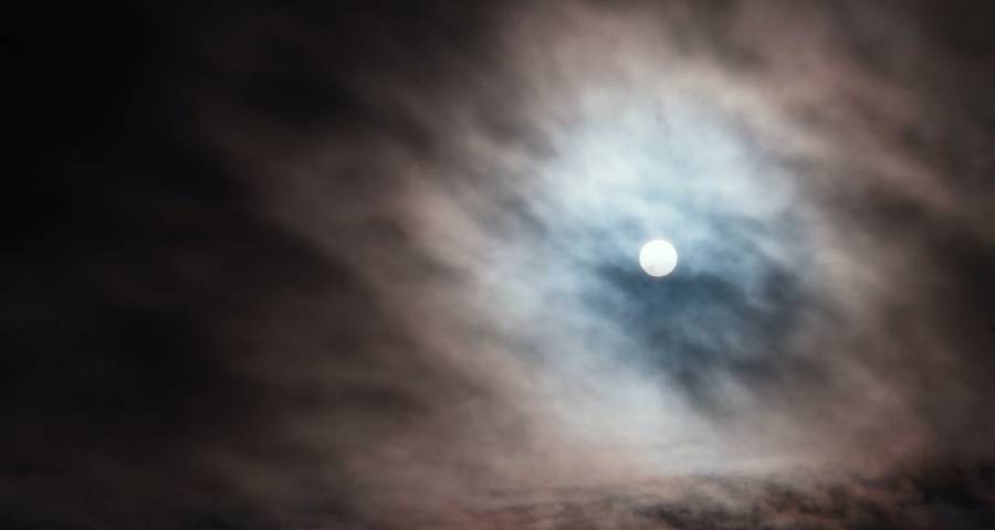 用户对家电产品质量与服务为何总是不满意-家电圈官网