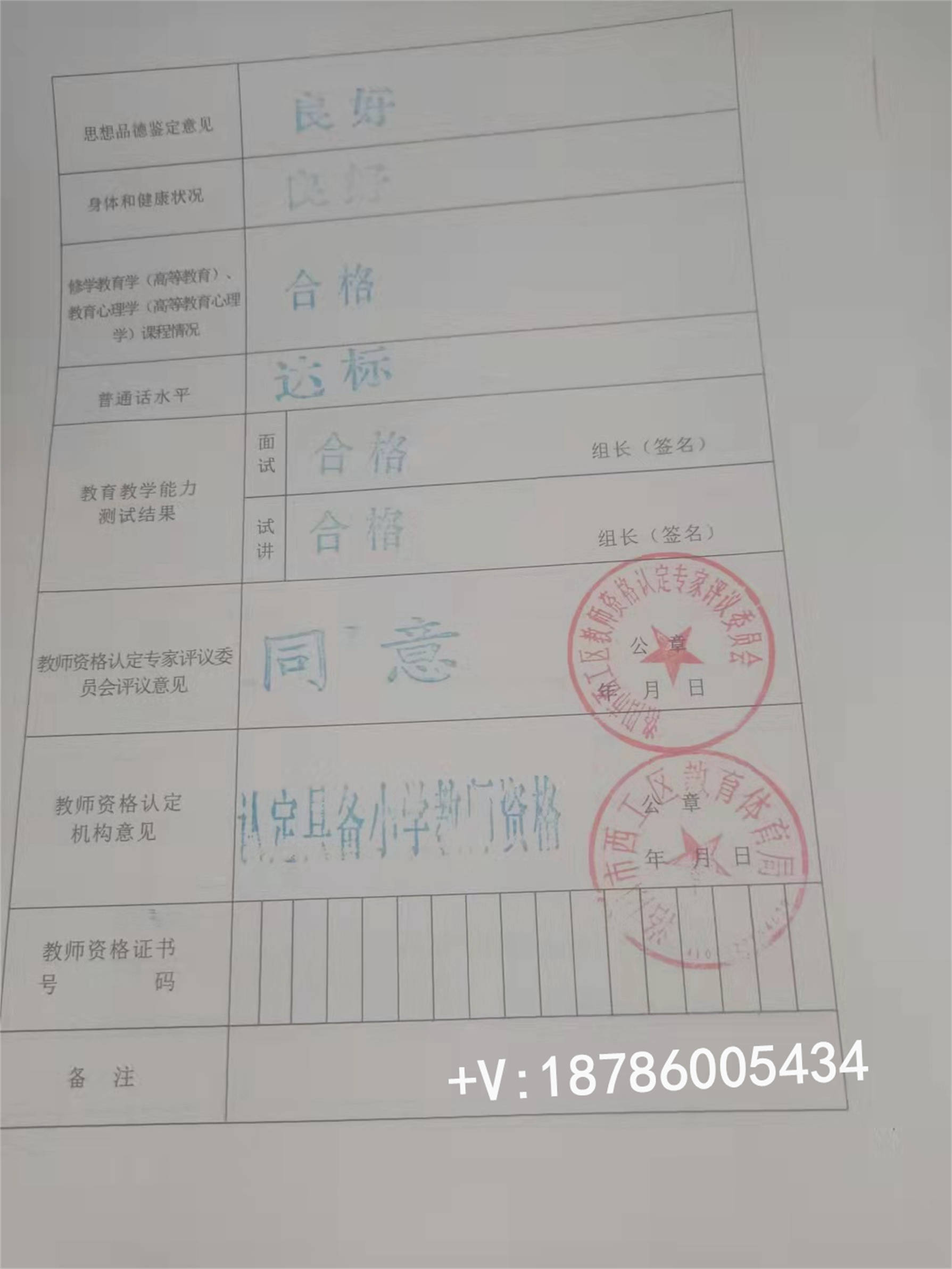 新版教师资格证书样本图片