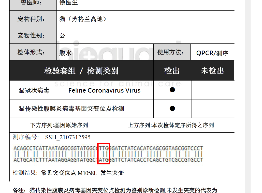 其实大可不必,猫冠状病毒fcov有两种类型,1:是猫肠道冠状病毒(fecv)