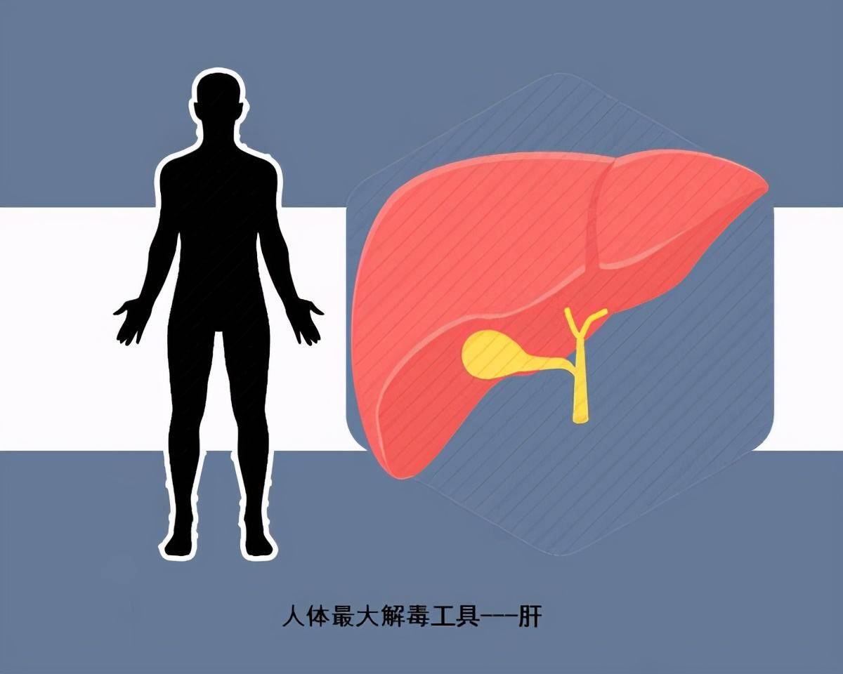 生活|胡远忠医师---威胁肝脏健康的5件事，快看看你有没有这些伤肝行为！