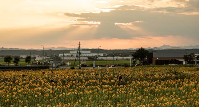 小家电都是“智商税”又如何？用户喜欢资本青睐就行！-家电圈官网