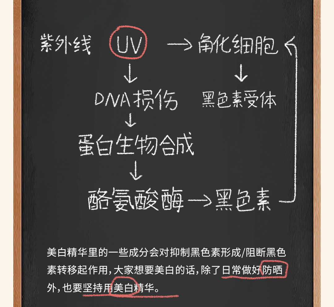 美眉速来！这些美白精华、修护精华越用越惊艳，忍不住又回购了！