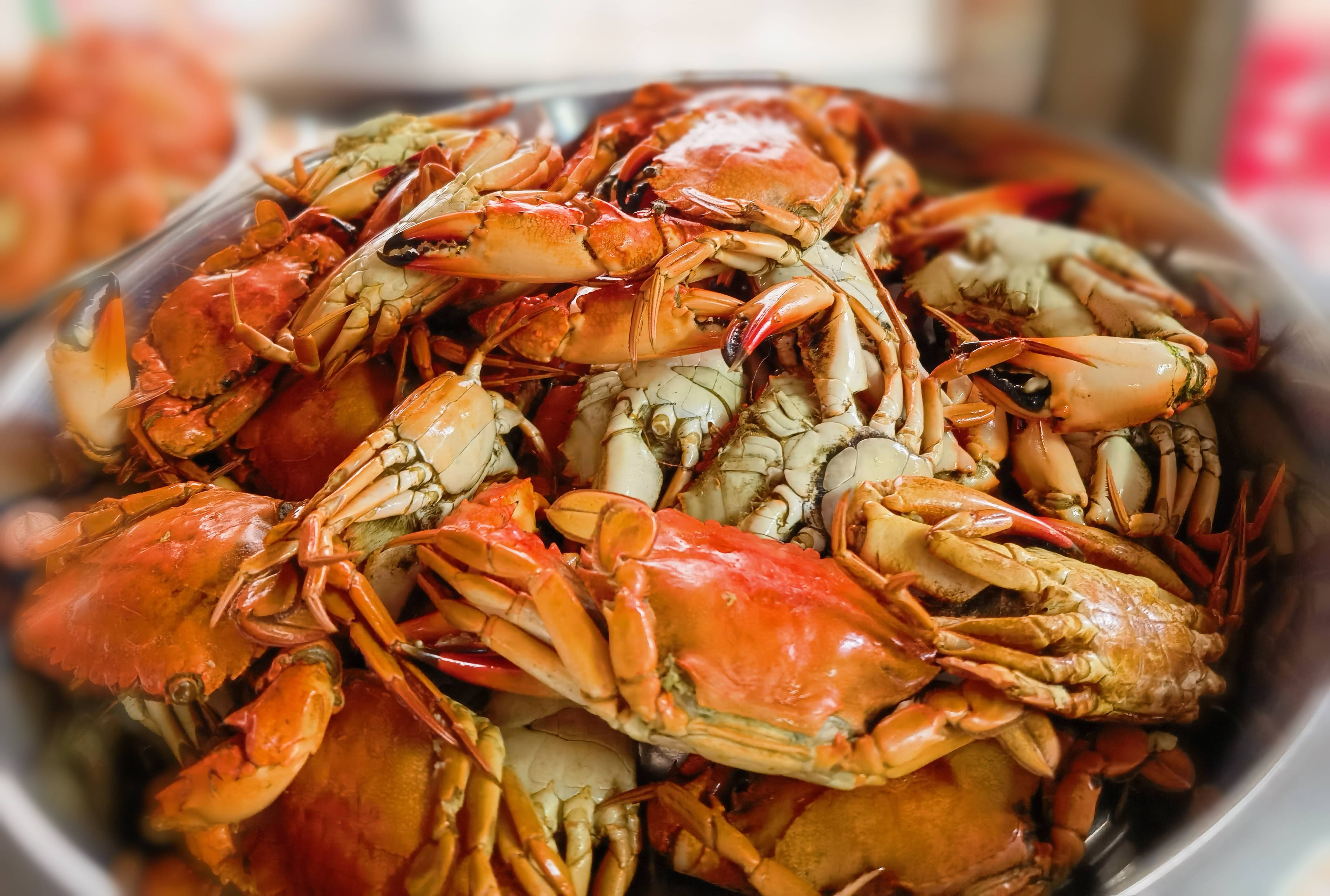 亲测文昌铺前美食排队吃酸酸甜甜美容醋