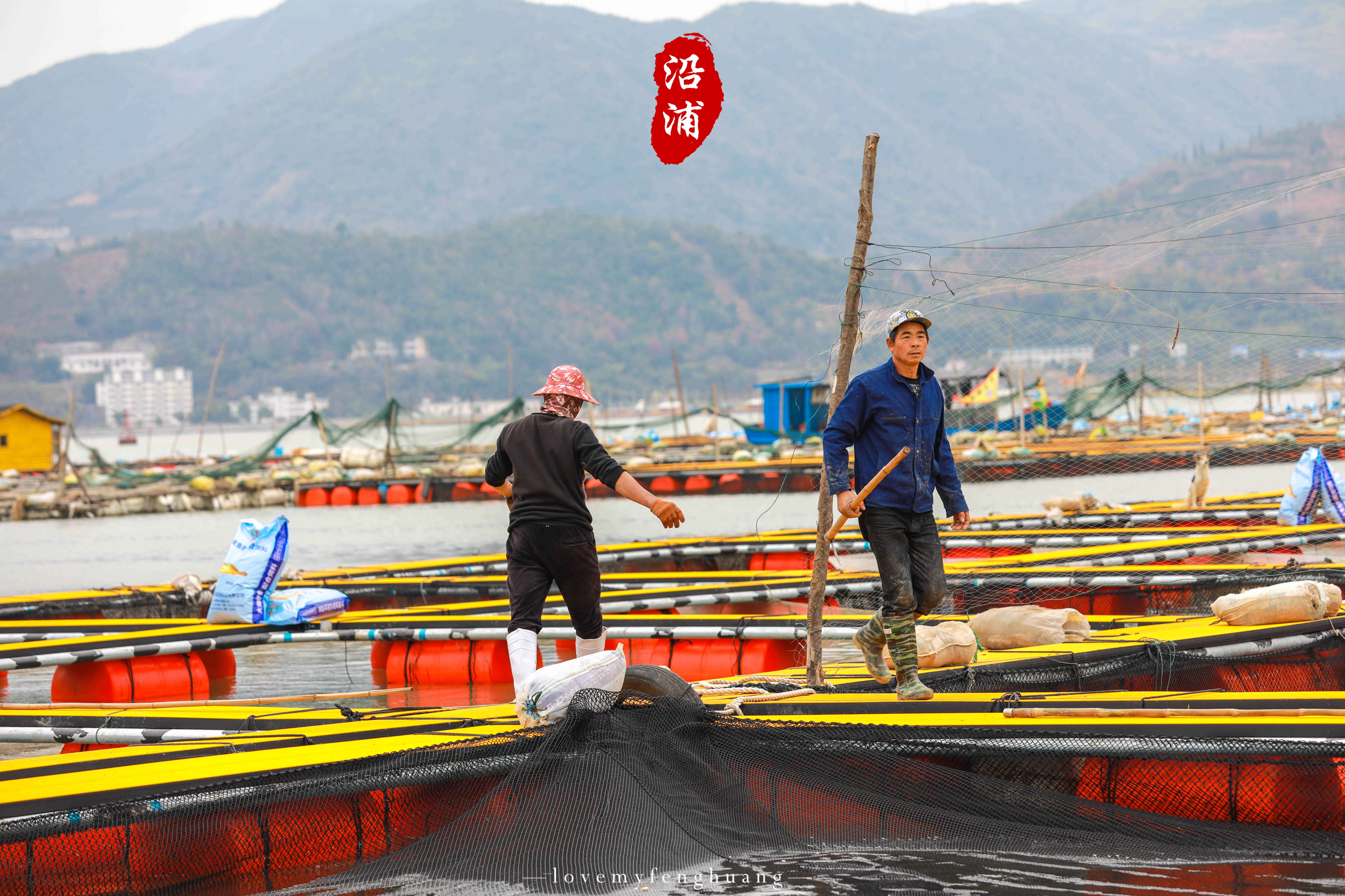 阳光|冬天的浙江沿浦，深受温州本地摄影师喜爱，还被誉为“浙江霞浦”