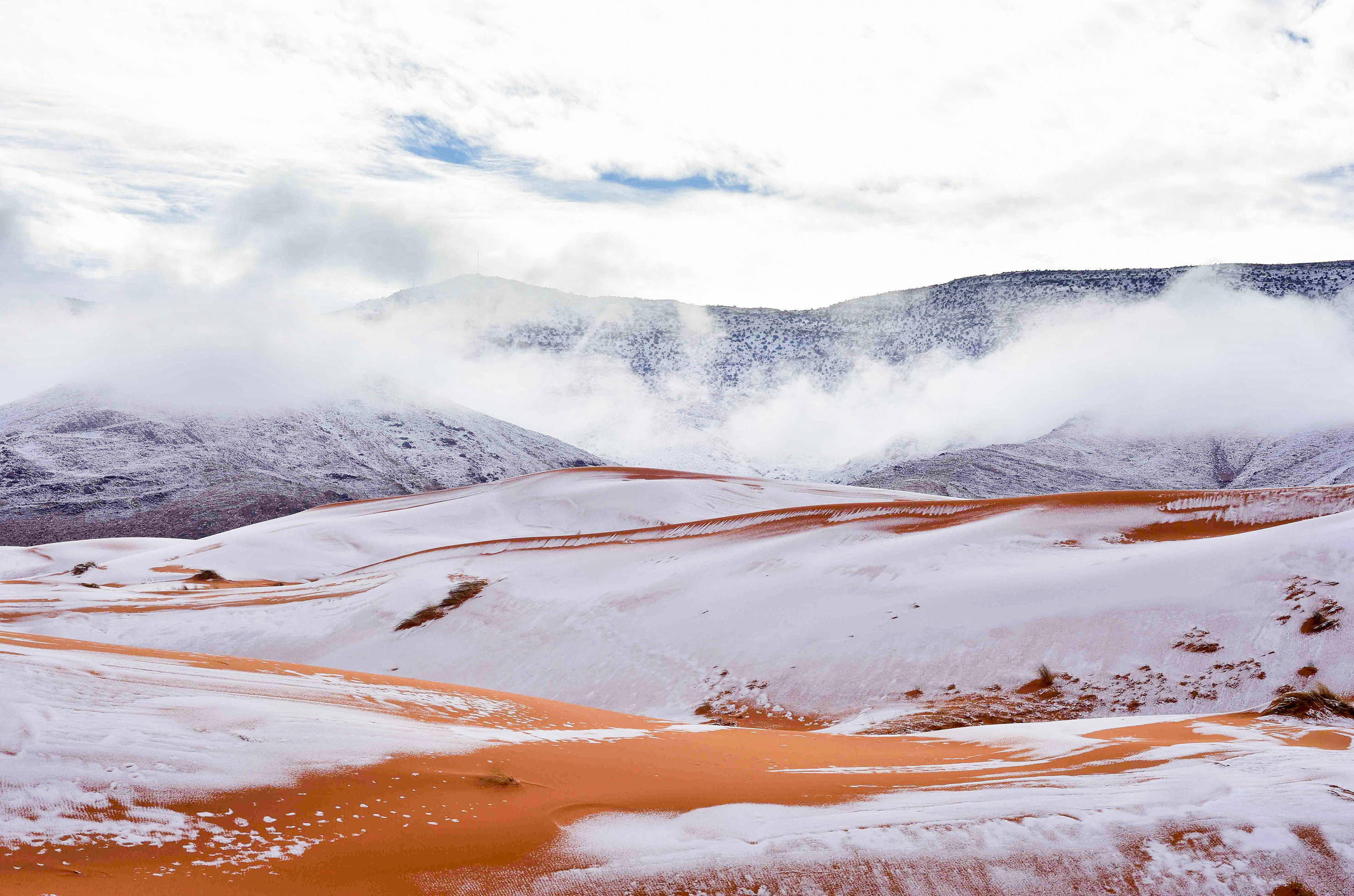 撒哈拉沙漠下雪图片