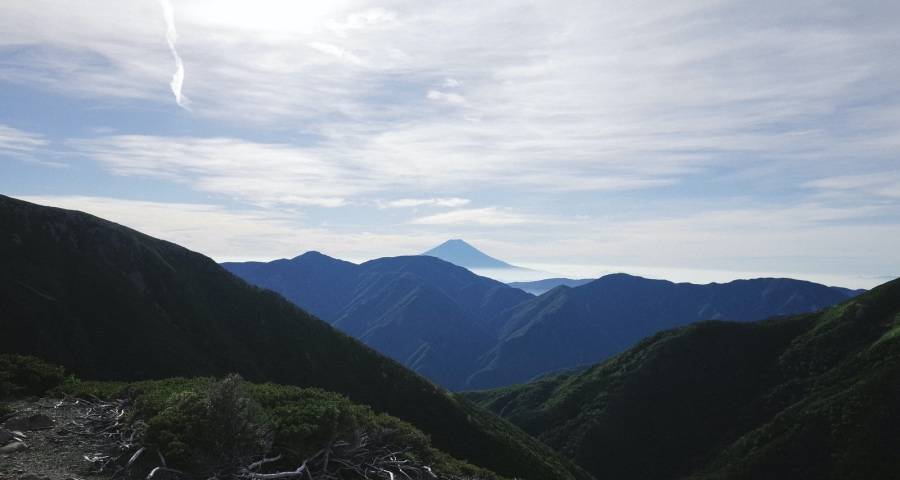 家电业首个旺季来了,美的博西格力TCL京东苏宁相继出重拳-家电圈官网