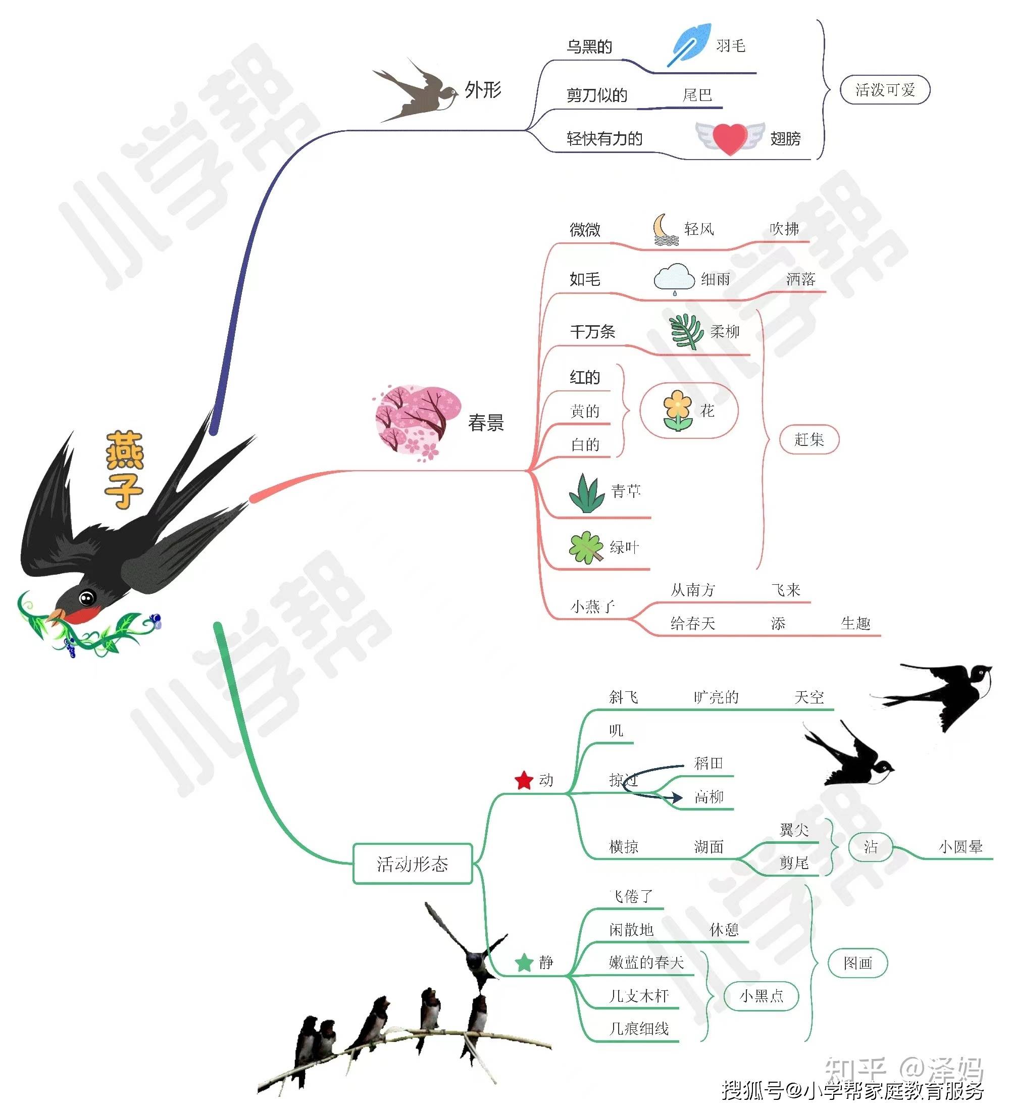 三年级下册燕子飞行图图片