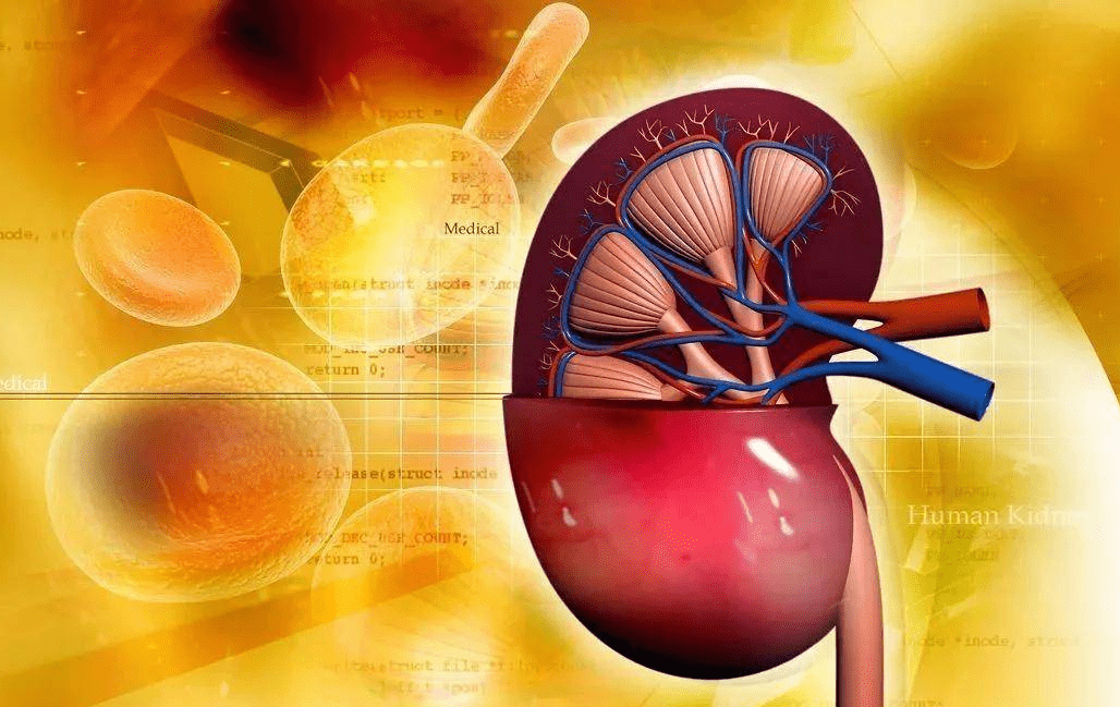 治疗|糖尿病患者这样关爱肾脏健康，李爱国医生帮你远离可怕的尿毒症
