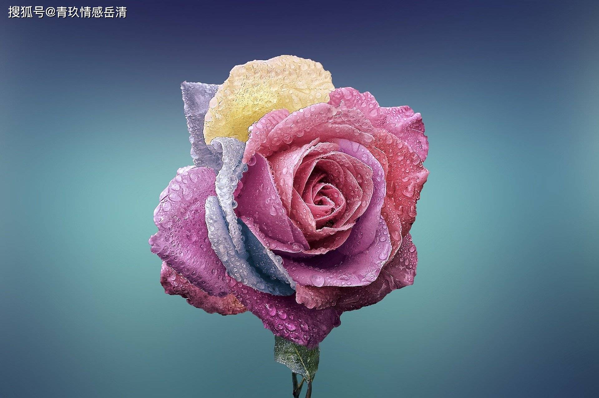 如何强大自己的内心 成为自带安全感的人 如何强大自己的内心 成为自带安全感的人