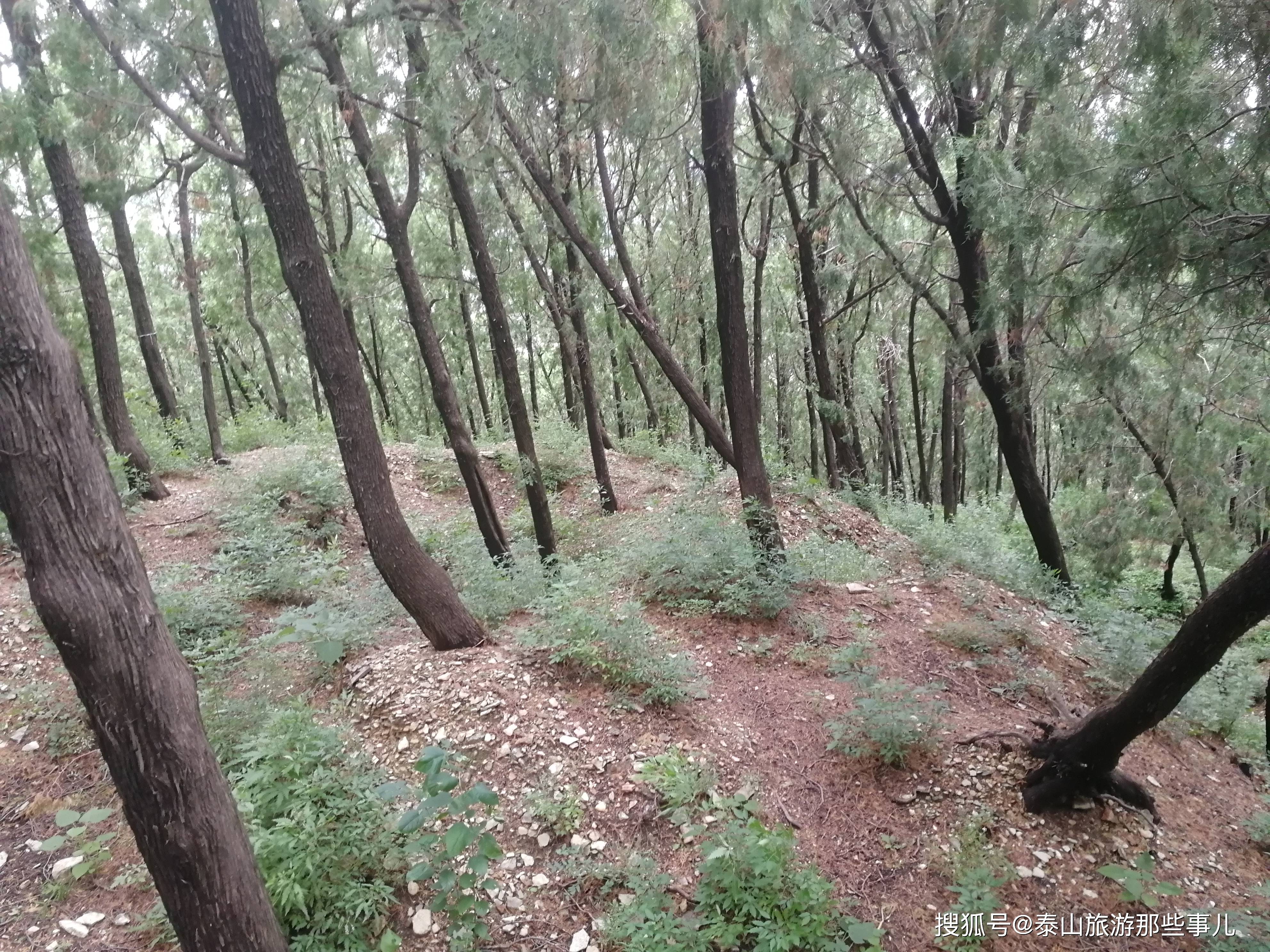 泰安为何称为鬼都还要恢复蒿里山神祠吗看这个法国人是咋说的出乎意料