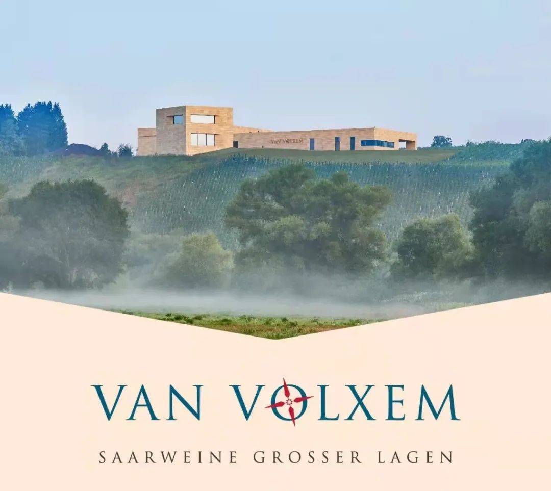 葡萄|雷司令的第587个生日,带你走进顶尖产区!
