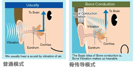 即通過聲音轉化為不同頻率的機械震動,通過人的顱骨,骨迷路,內耳淋巴