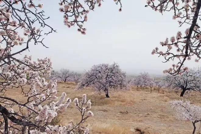 “美食+美景”鹿邑这个农庄成了网红打卡地