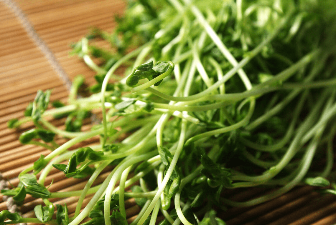 百合|明日春分，再忙也别忘吃“3菜3果3芽”，应季而食，助你安然度春