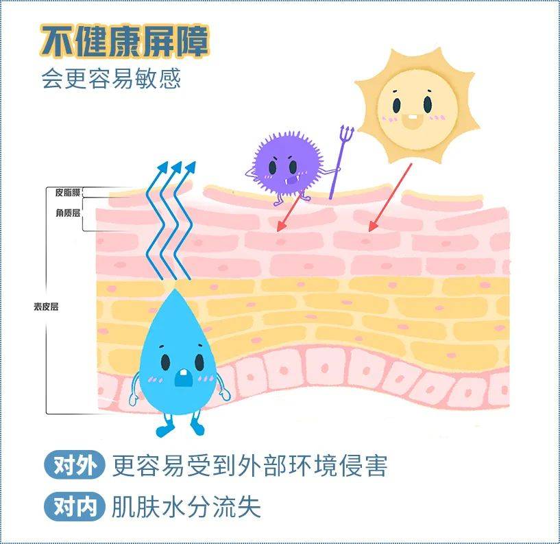 屏障开课啦！肌肤屏障如何护理？小李老师告诉你~