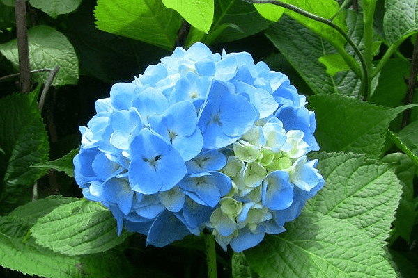 越上年纪越爱美丽的3位女性生肖化妆打扮 晚年也很有魅力 生活 很漂亮 大家庭