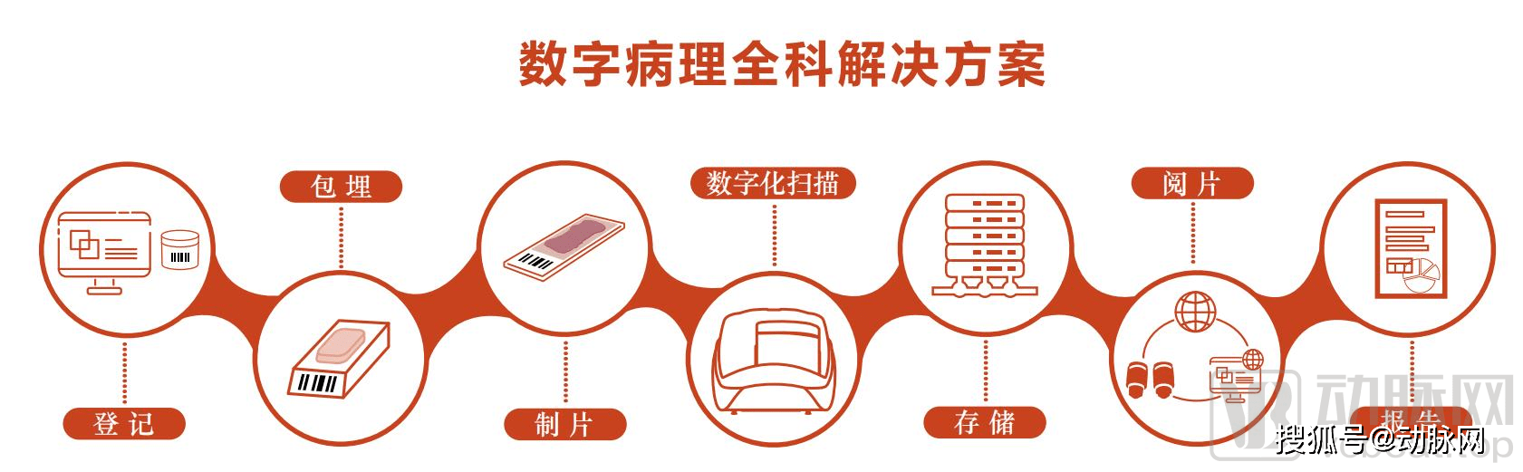 数字化|全数字化是病理AI发展的分水岭，谁能领跑中国数字病理下半场？