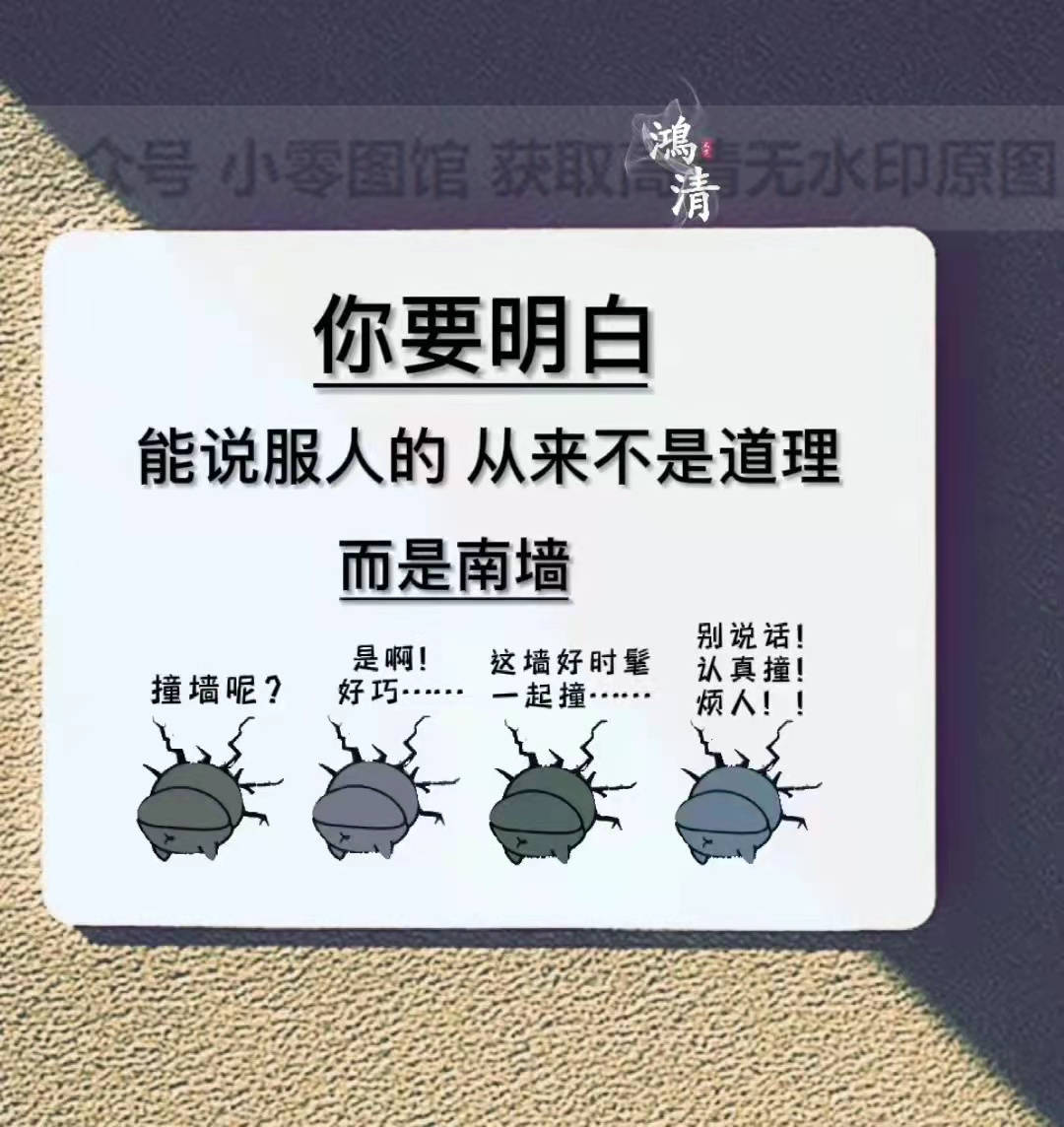 背景图 / 你要明白 能说服人的从来不是道理 而是南墙_道理_背景图