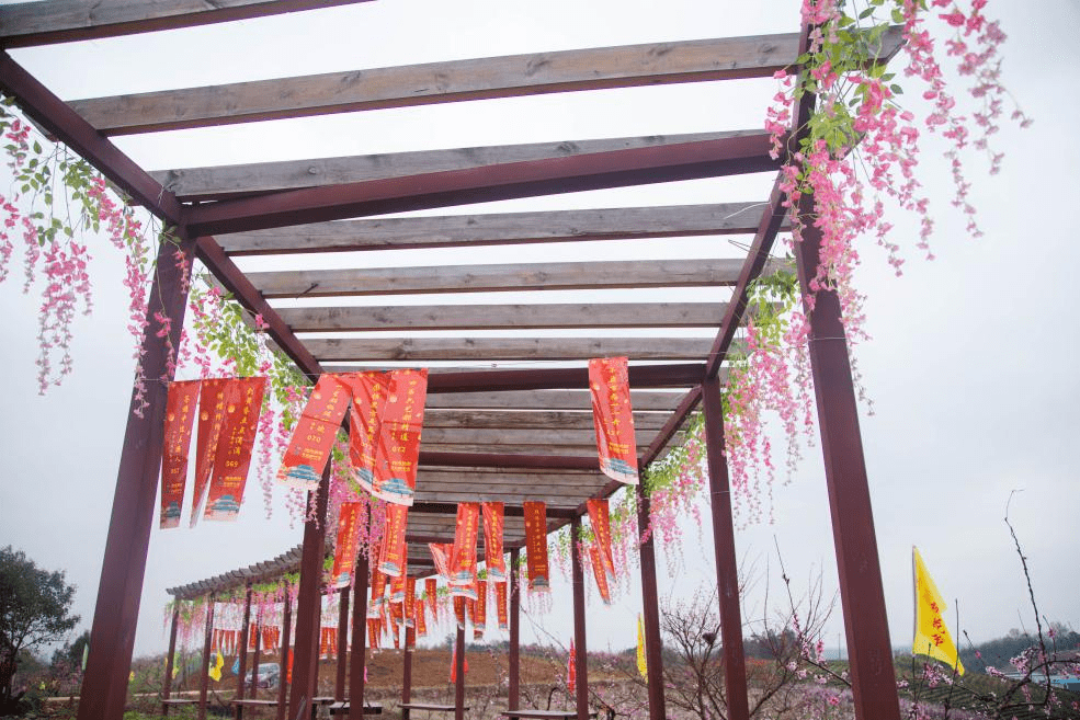 繁昌|邂逅平铺·相约桃花节，收获一个最美的中国春天！