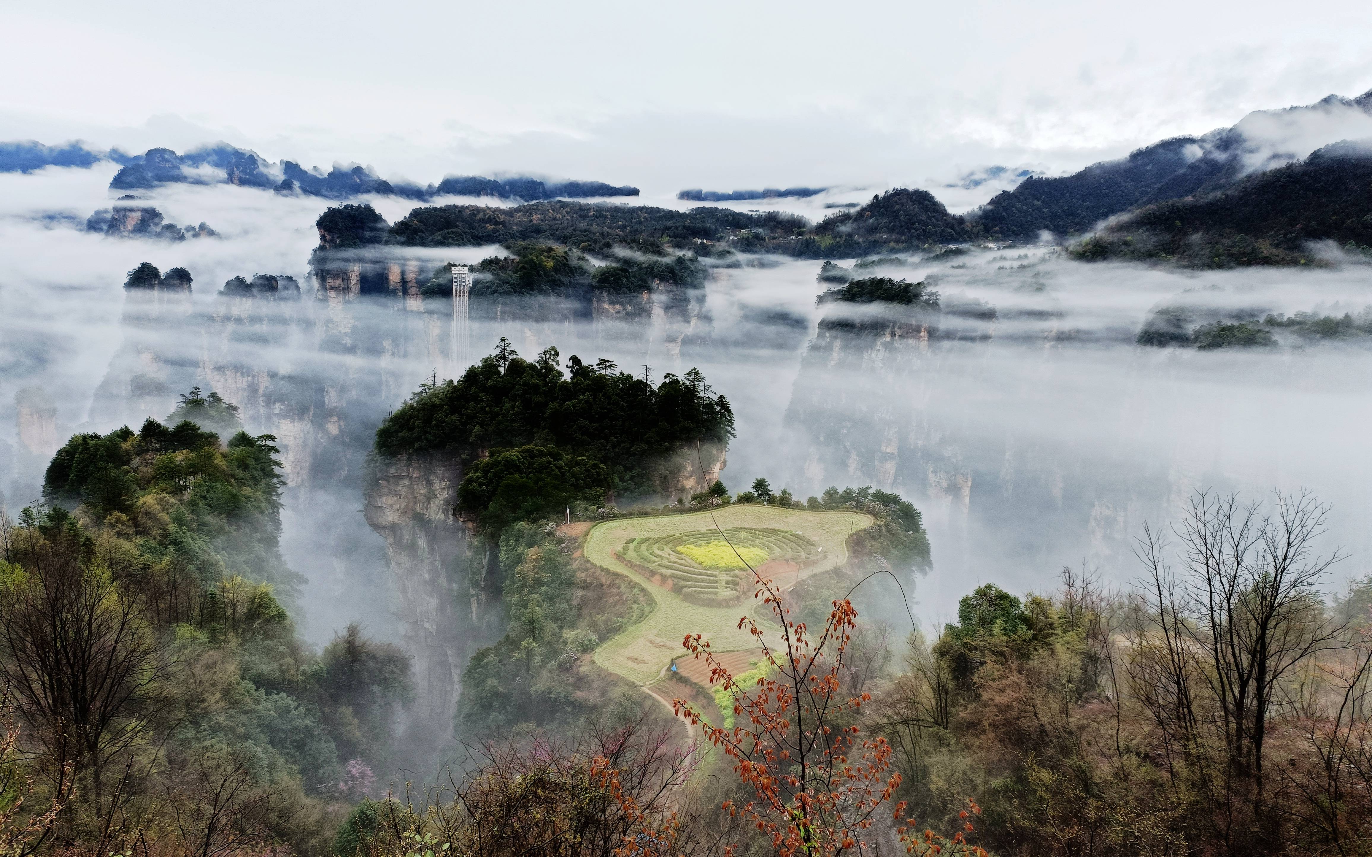 田园|张家界空中田园：云海仙境美爆人间