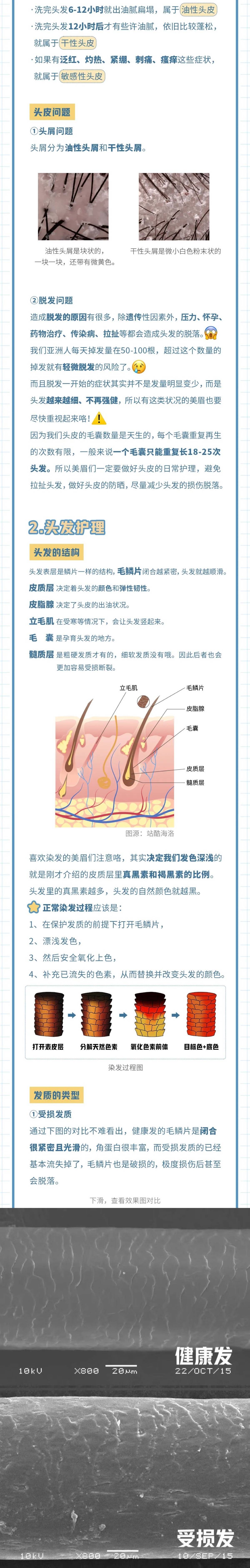 发型进来抄作业！拒绝头屑、脱发，争当发量王者！