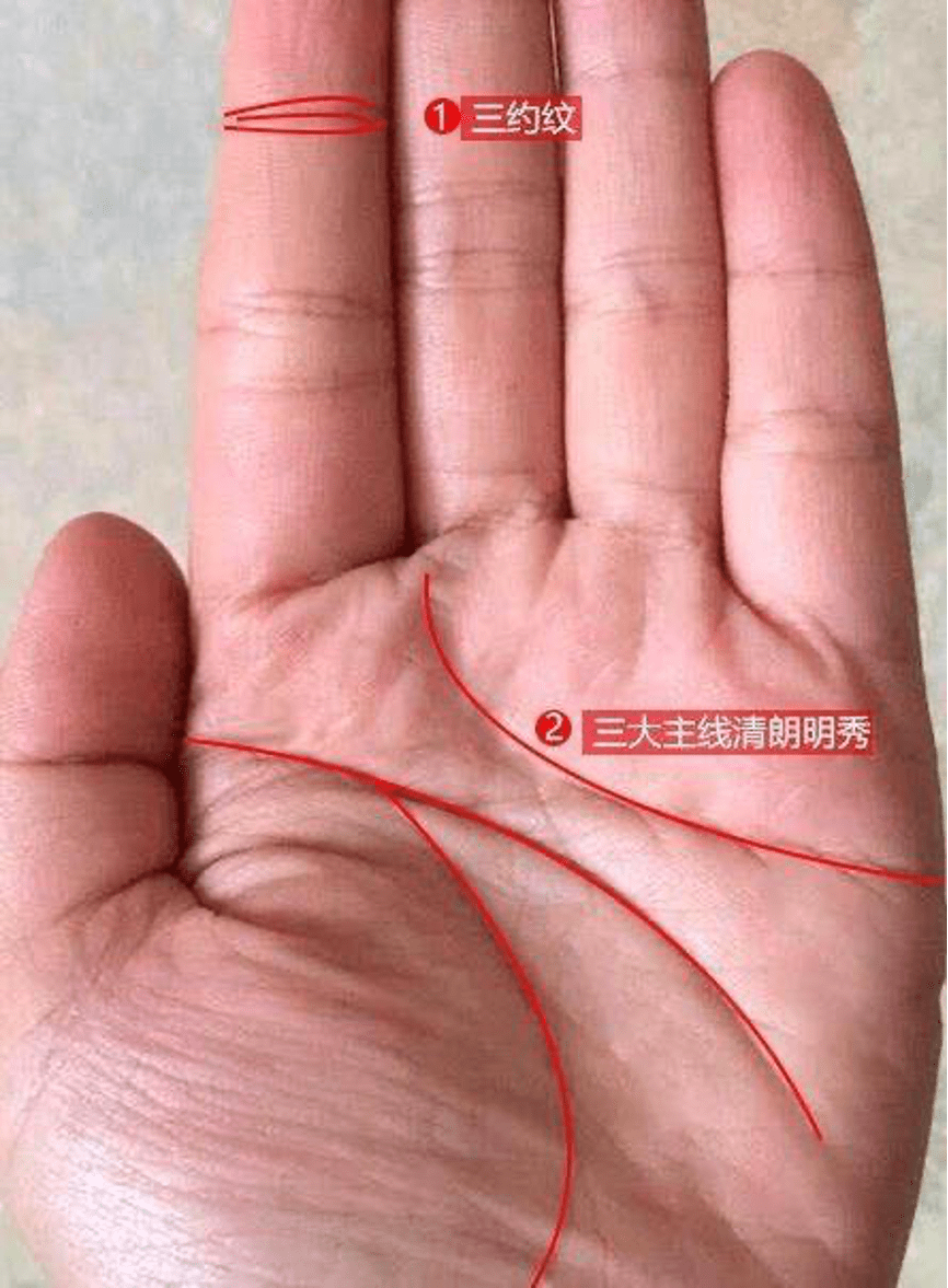 手相有这种特征的人,一辈子不缺钱,命中注定嫁入豪门_发展_事业_纹路