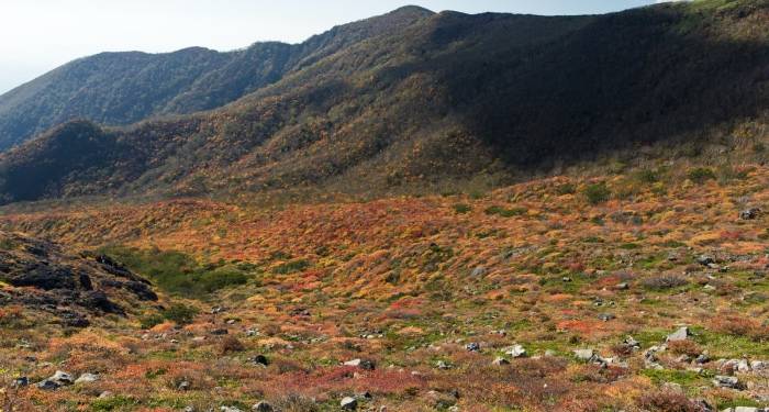 今年家电市场竞争新走势:价格战不会停,但价值战要冲刺-家电圈官网