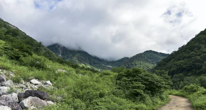 野外露营这2年确实很火，但家电企业不能急着推销产品-家电圈官网