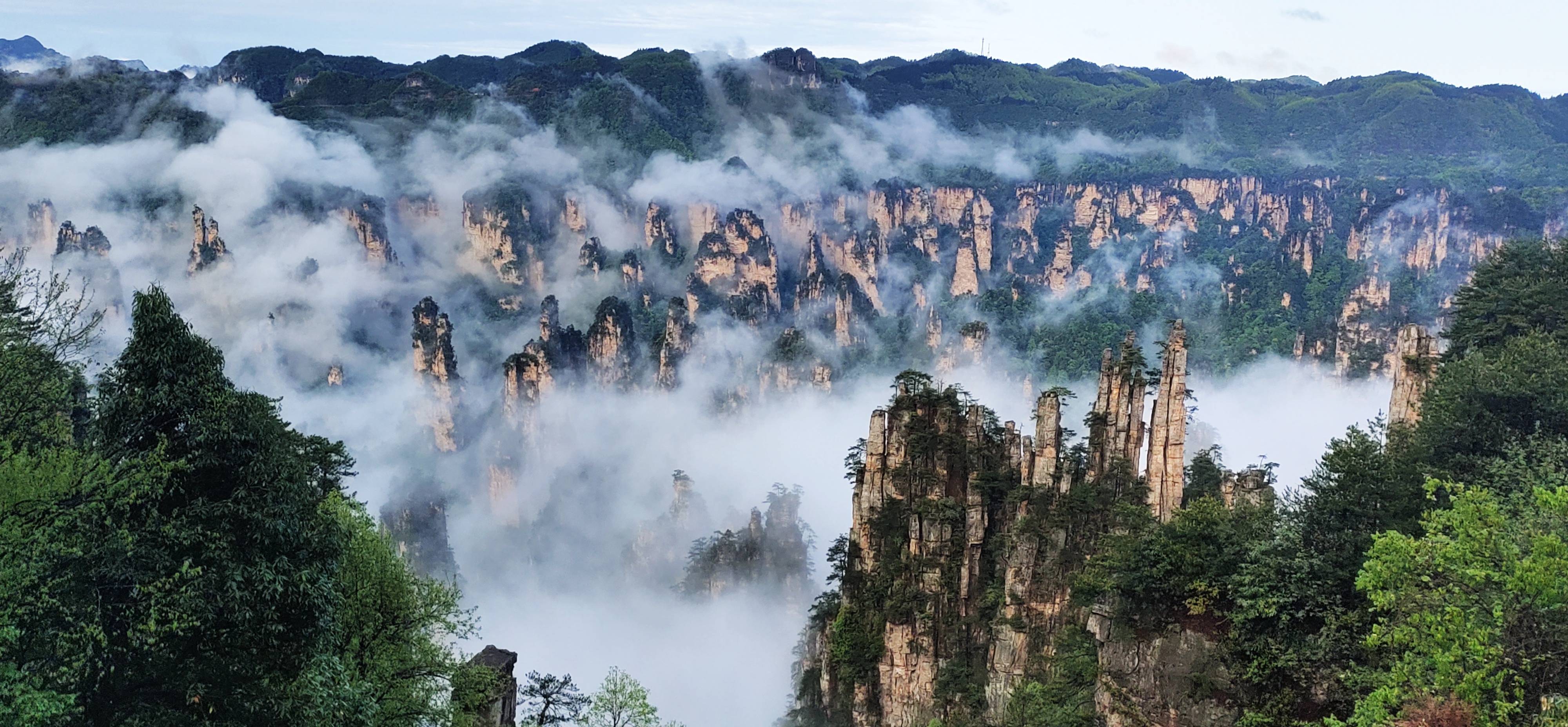 办好旅发会一起向未来张家界景区雨后放晴云海仙境组图