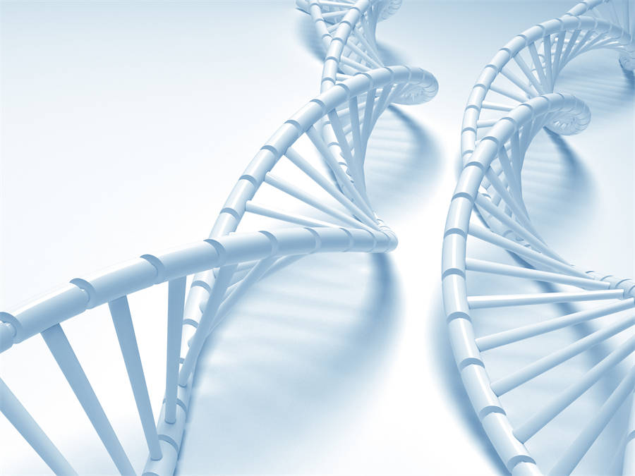 基因检测与亲子鉴定什么关系,dna检测是什么意思_片段_发展_孩子