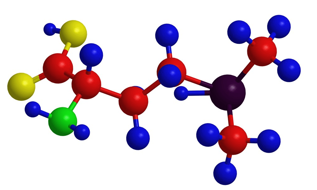 氨基酸球棍模型制作图片