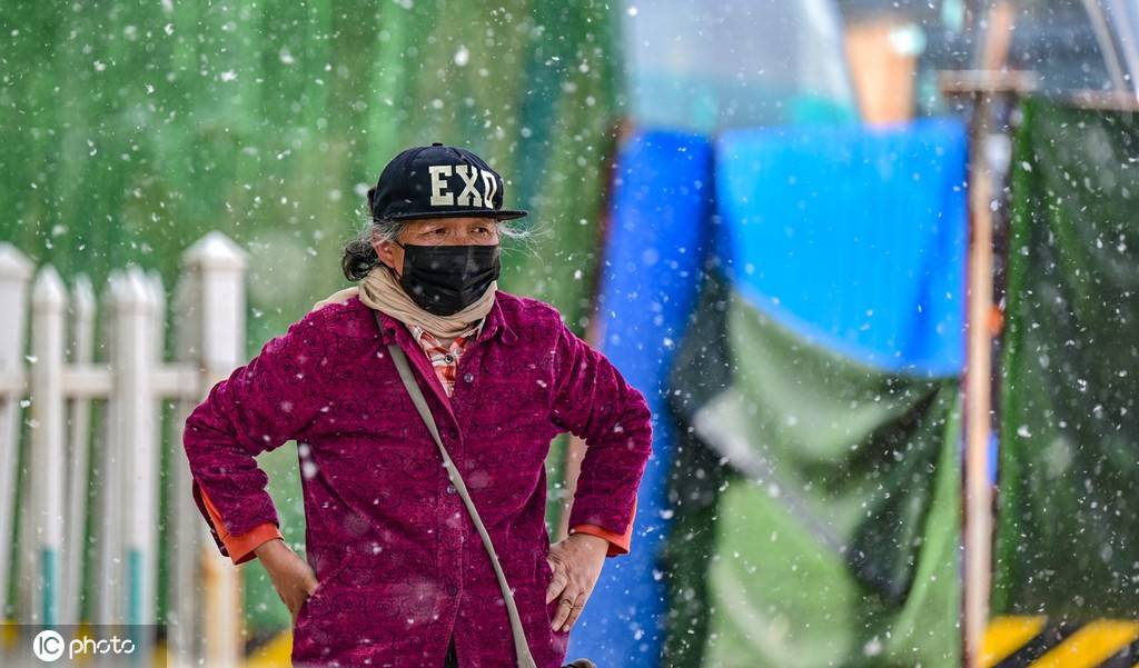 又是一年飞絮时!各地柳絮杨絮漫天飞舞如雪飘-搜狐大视野-搜狐新闻