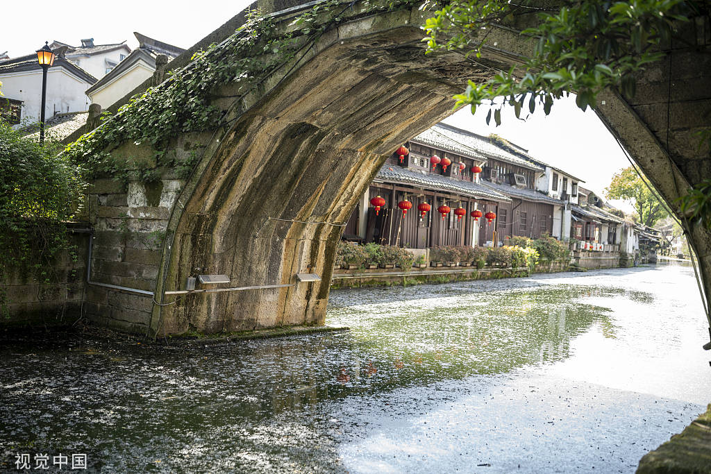 又是一年飞絮时!各地柳絮杨絮漫天飞舞如雪飘-搜狐大视野-搜狐新闻