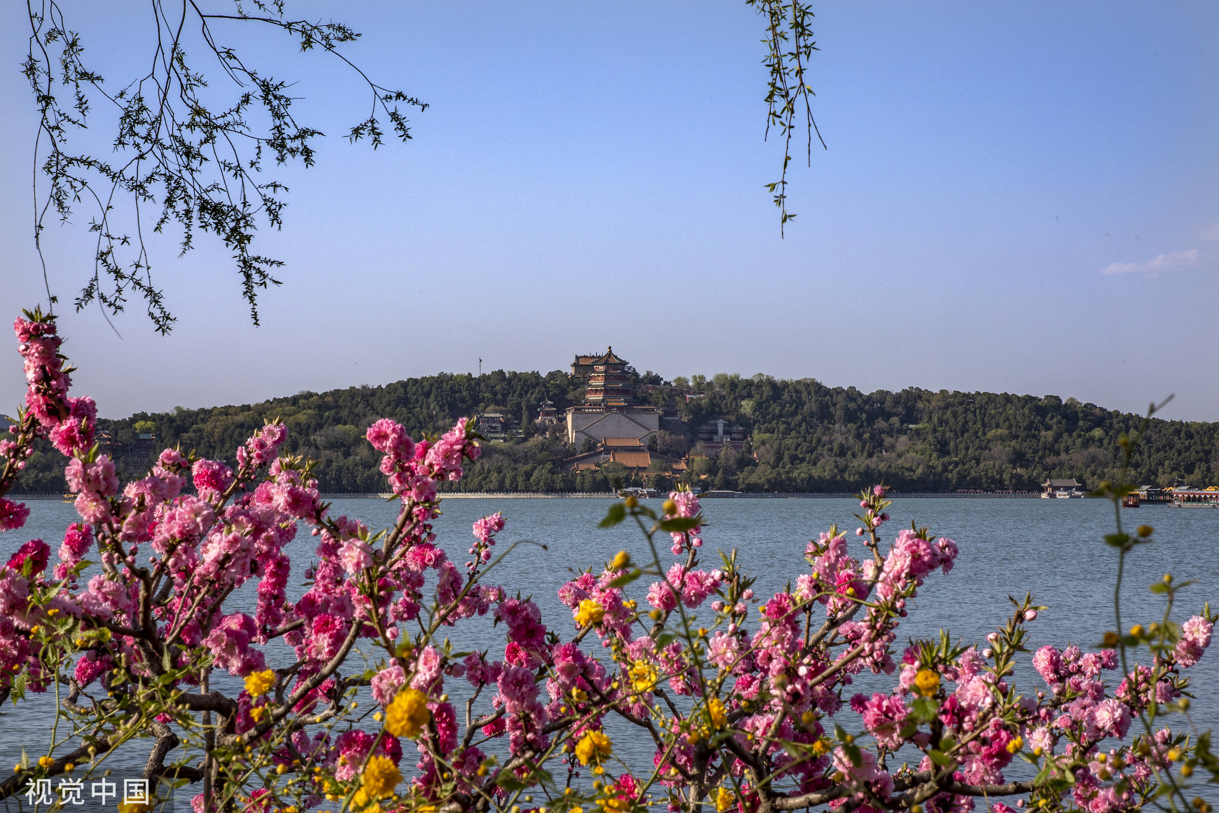 四月中旬,北京中山公園鬱金香花開似海,迎來賞花遊客高峰.