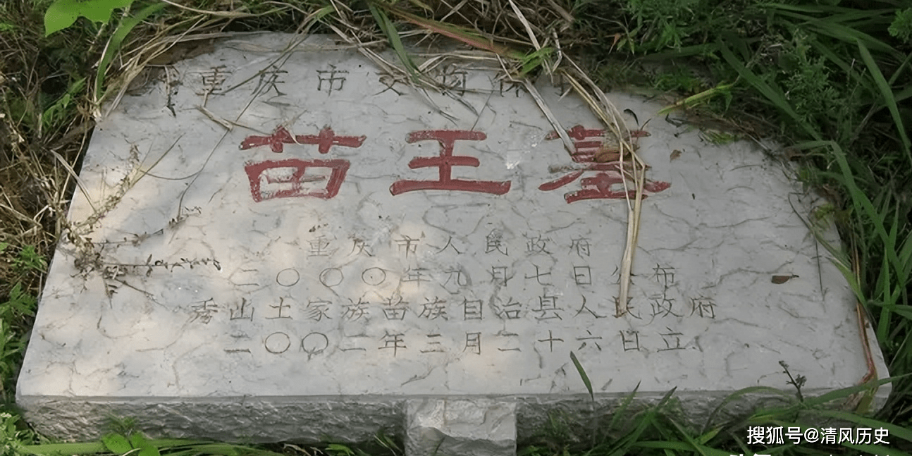 贵州苗王墓图片