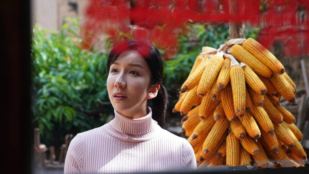 《高兴的酸甜苦辣》定档央八,朱梓骁娄艺潇主演,礼赞北京大妞_电视剧