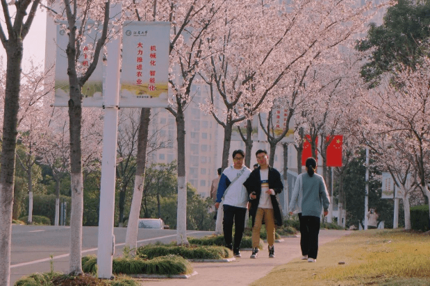 江蘇大學宿舍環境怎麼樣整體環境好不好