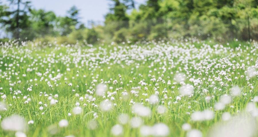 数字化转型,家电企业不能只盯产品得让用户有获得感-家电圈官网